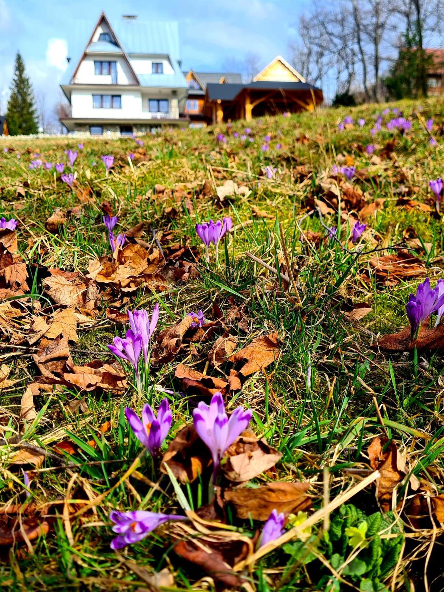 Apartamenty Skalna Chata Zakopane Exterior photo